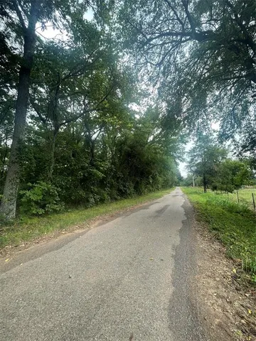 a view of a forest with trees