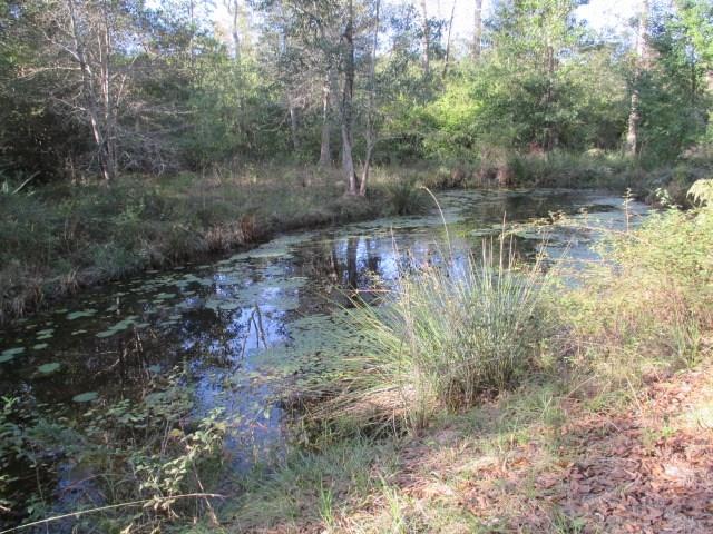 29571 Berry Todd Road Lacombe, LA 70445 - Photo 16 of 23 Gallery Image 16