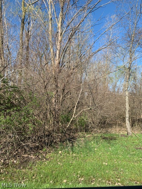 0 Andress Road Berlin Heights, OH 44814 - Photo 3 of 7