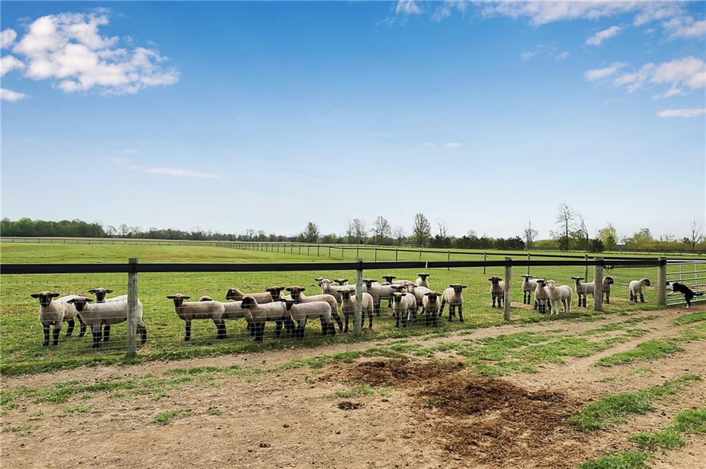 20933 Mule Barn Road Sheridan, IN 46069 - Photo 42 of 46