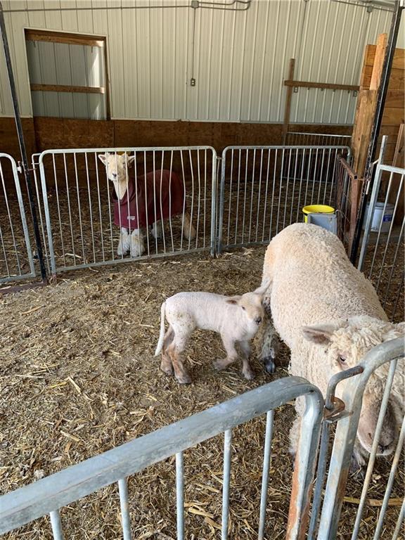 20933 Mule Barn Road Sheridan, IN 46069 - Photo 43 of 46