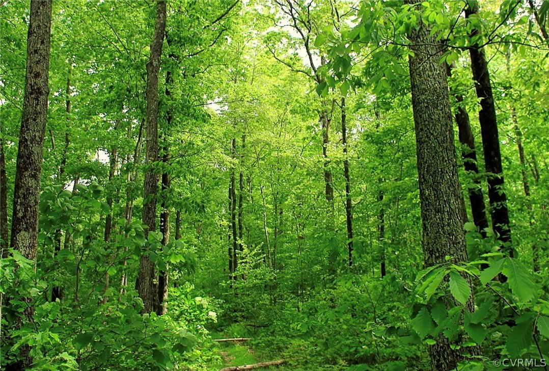 -randolph Creek Rd Randolph Creek Road New Canton, VA 23123 - Photo 1 of 1 Gallery Image 1