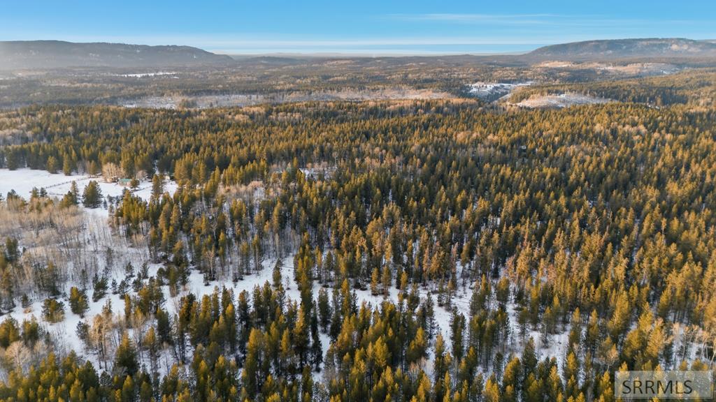 4523 Elk Loop Road Ashton, ID 83420 - Photo 32 of 39