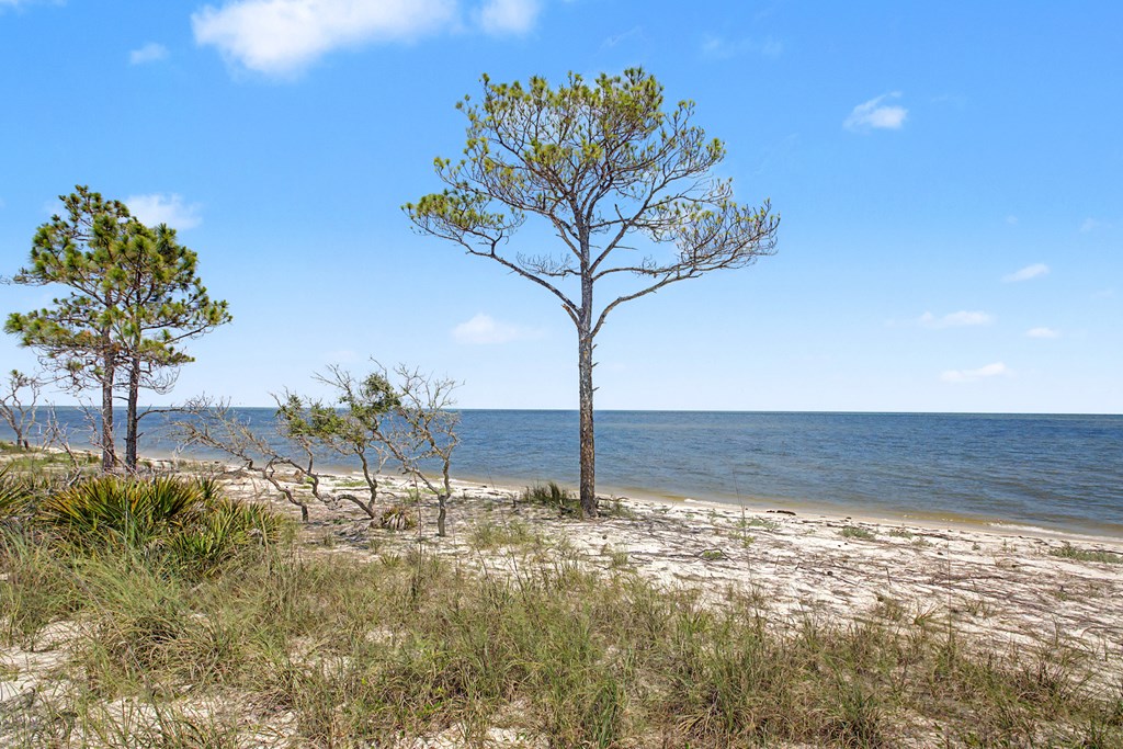 446 Bald Point Road Alligator Point, FL 32346 - Photo 8 of 30