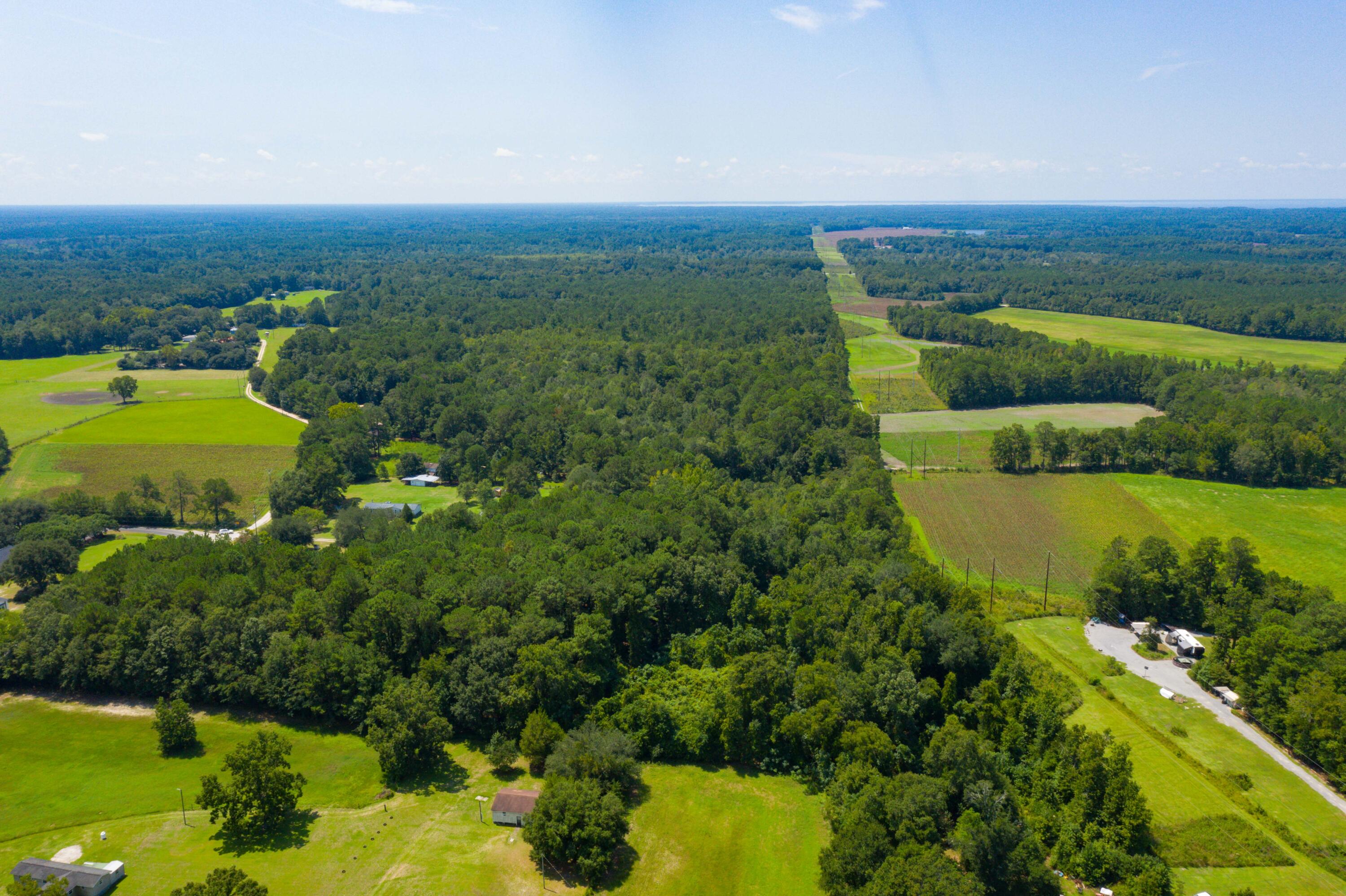 0 Betaw Road St. Stephen, SC 29479 - Photo 16 of 21 DJI_0790