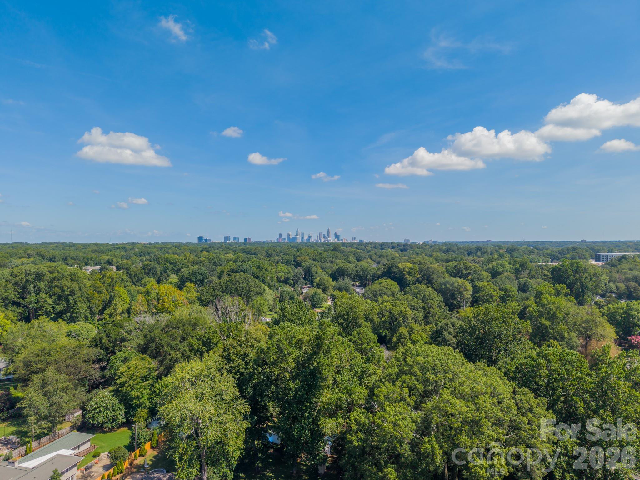 5546 Murrayhill Road Charlotte, NC 28210 - Photo 5 of 48 Gallery Image 5