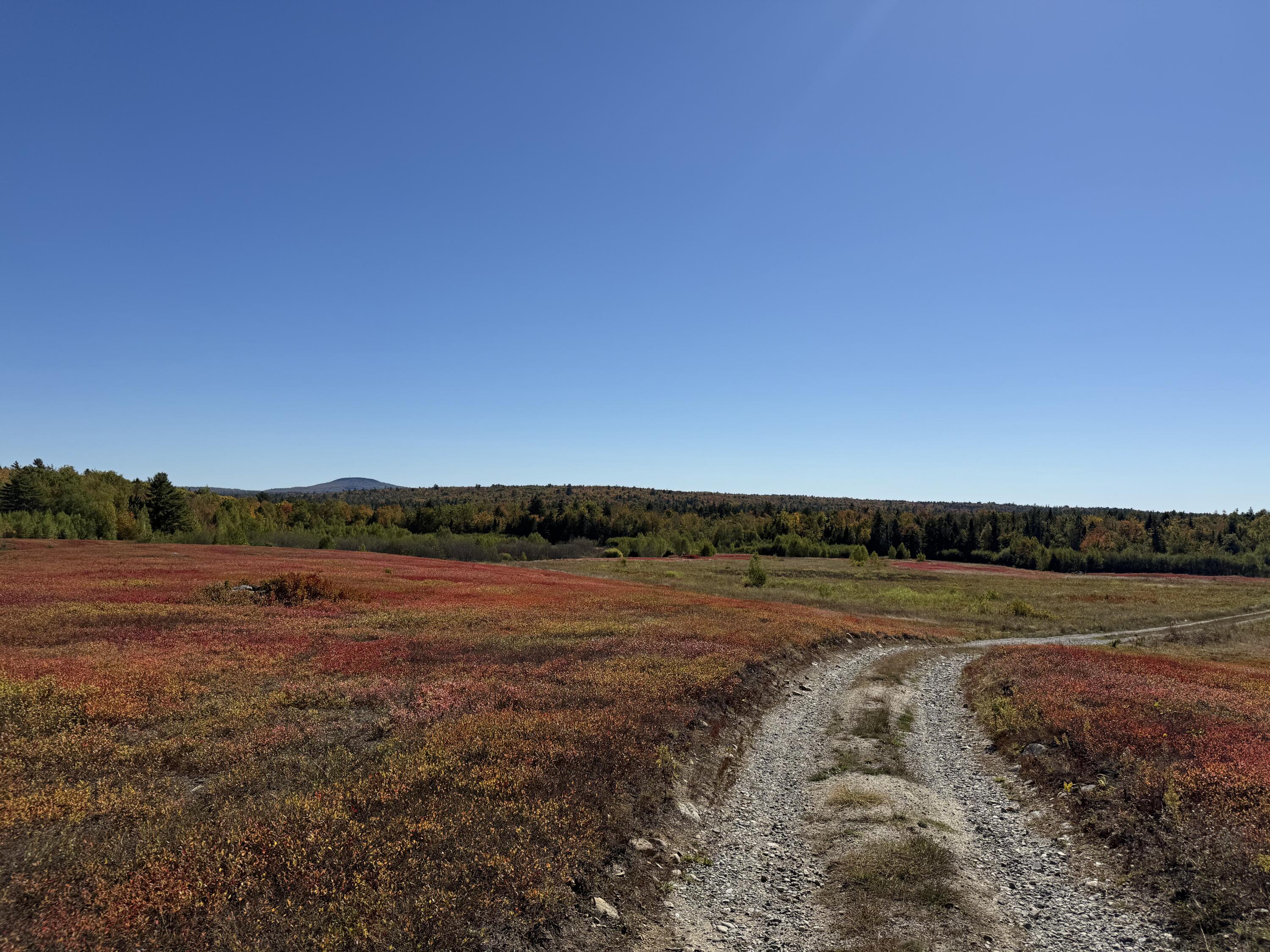 Map19-lot28 Leach Road Penobscot, ME 04476 - Photo 3 of 21 MAP 19 LOT 28