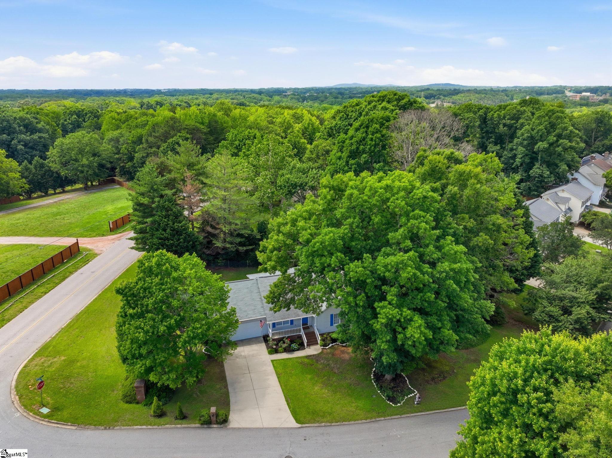 101 Emerald Way Simpsonville, SC 29681 - Photo 29 of 31