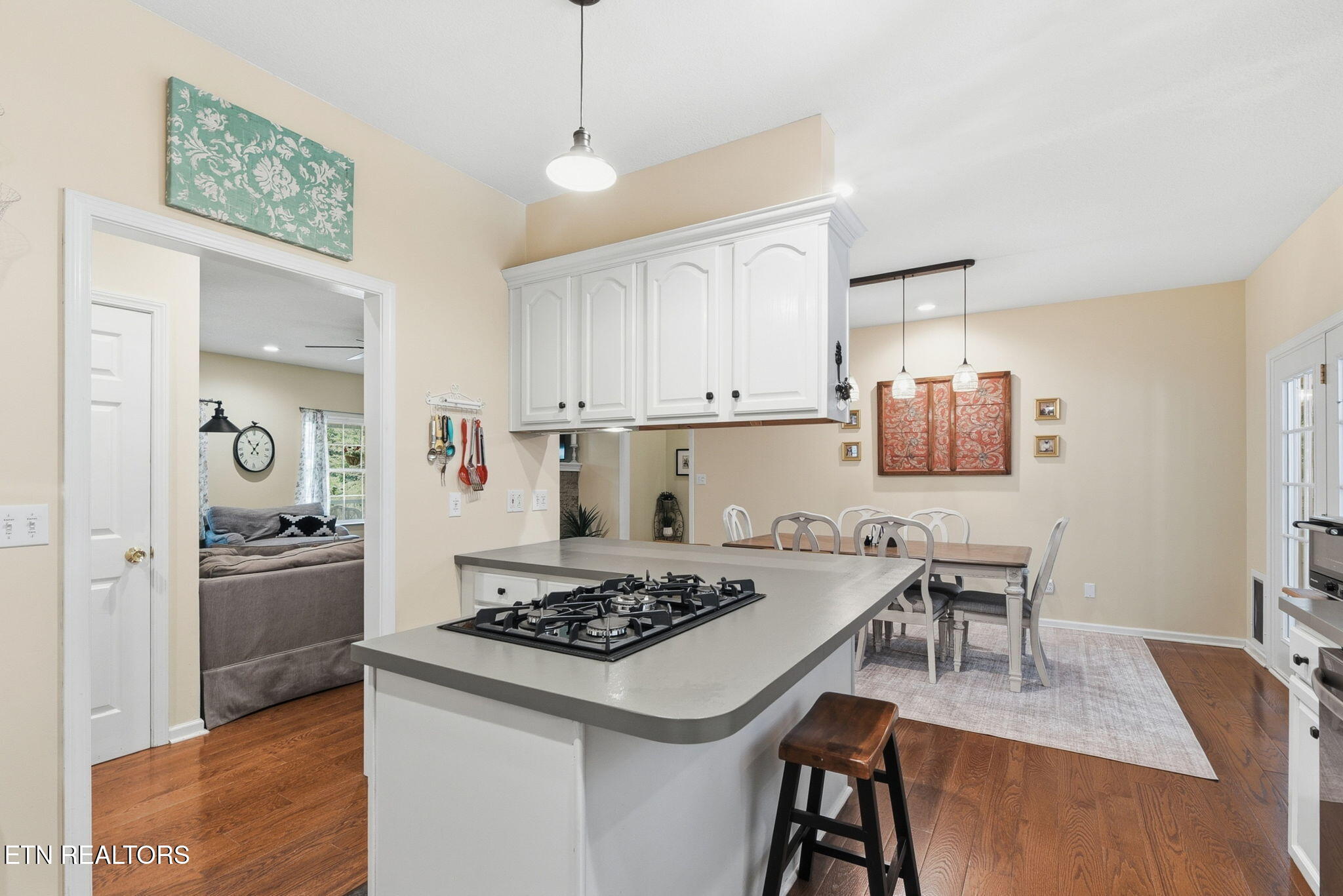 245 Rocky Top Road Luttrell, TN 37779 - Photo 17 of 58 Open Kitchen