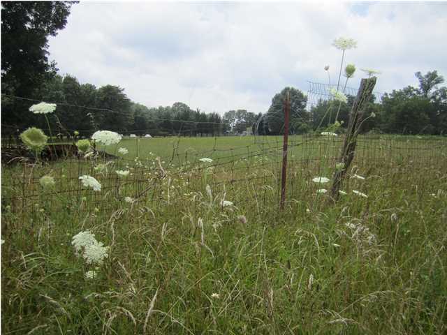 131 Sea Shell Road Signal Mountain, TN 37377 - Photo 1 of 13 Primary Photo