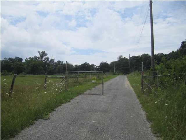 131 Sea Shell Road Signal Mountain, TN 37377 - Photo 4 of 13 Additional Photo