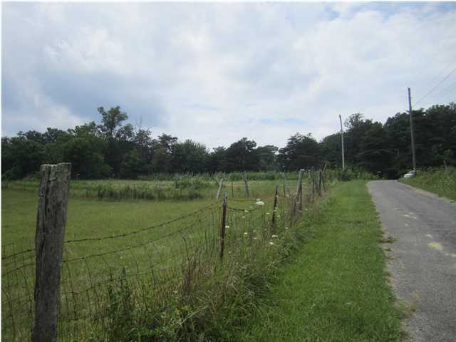 131 Sea Shell Road Signal Mountain, TN 37377 - Photo 9 of 13 Additional Photo