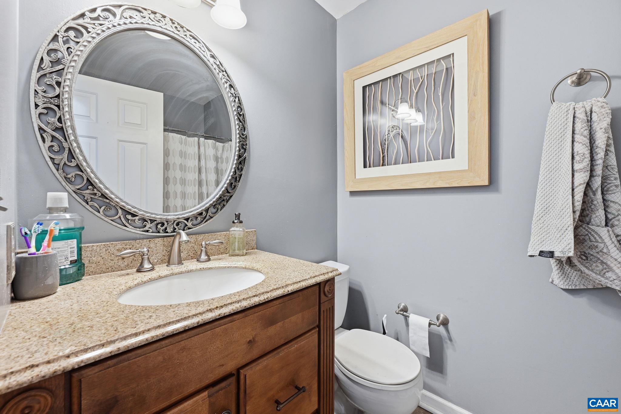 101 Marjorie Lane Ruckersville, VA 22968 - Photo 26 of 61 a bathroom with a toilet a sink and a mirror