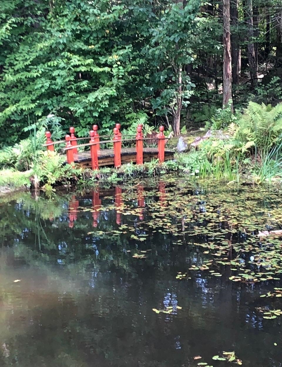 1481 Bennington Road Francestown, NH 03043 - Photo 49 of 59