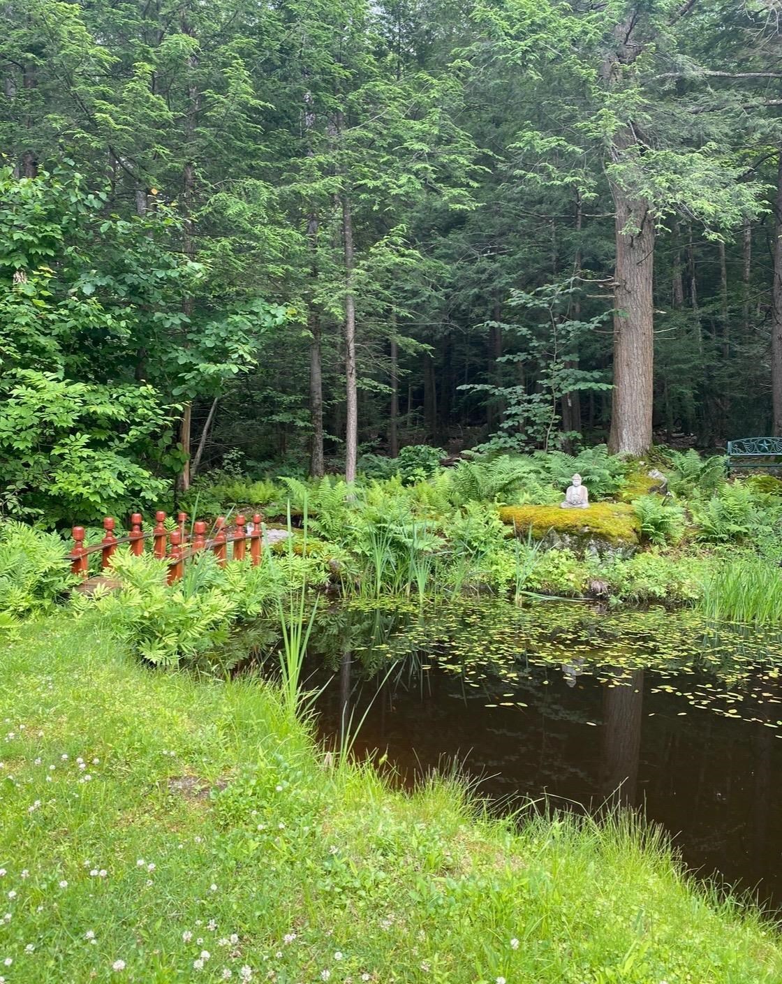 1481 Bennington Road Francestown, NH 03043 - Photo 50 of 59