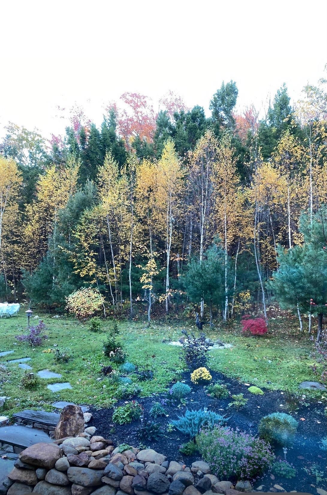 1481 Bennington Road Francestown, NH 03043 - Photo 53 of 59