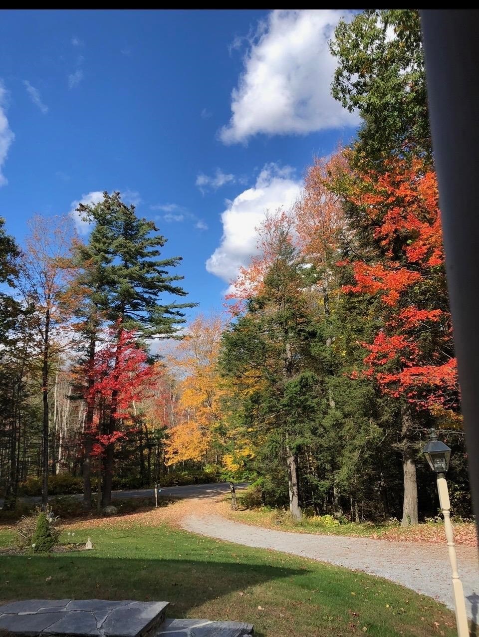 1481 Bennington Road Francestown, NH 03043 - Photo 56 of 59