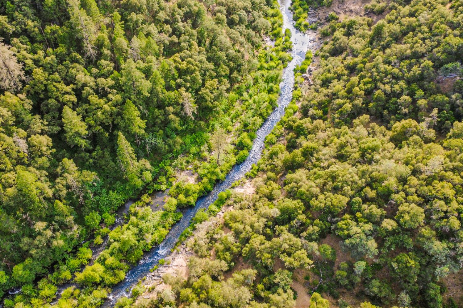 6060 Terras Path Placerville, CA 95667 - Photo 7 of 40 Aerial Photo Showing The Consumes River