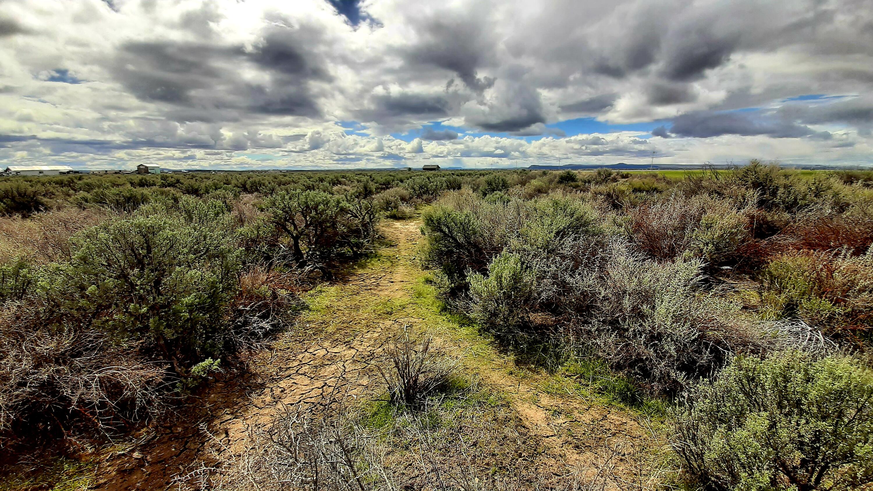 61371 Five Acre Road Christmas Valley, OR 97641 - Photo 12 of 17 20260411_111720