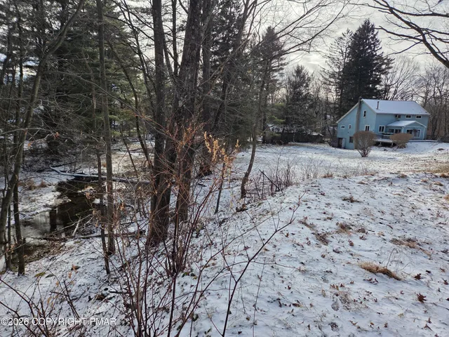 a backyard of a house with a large tree