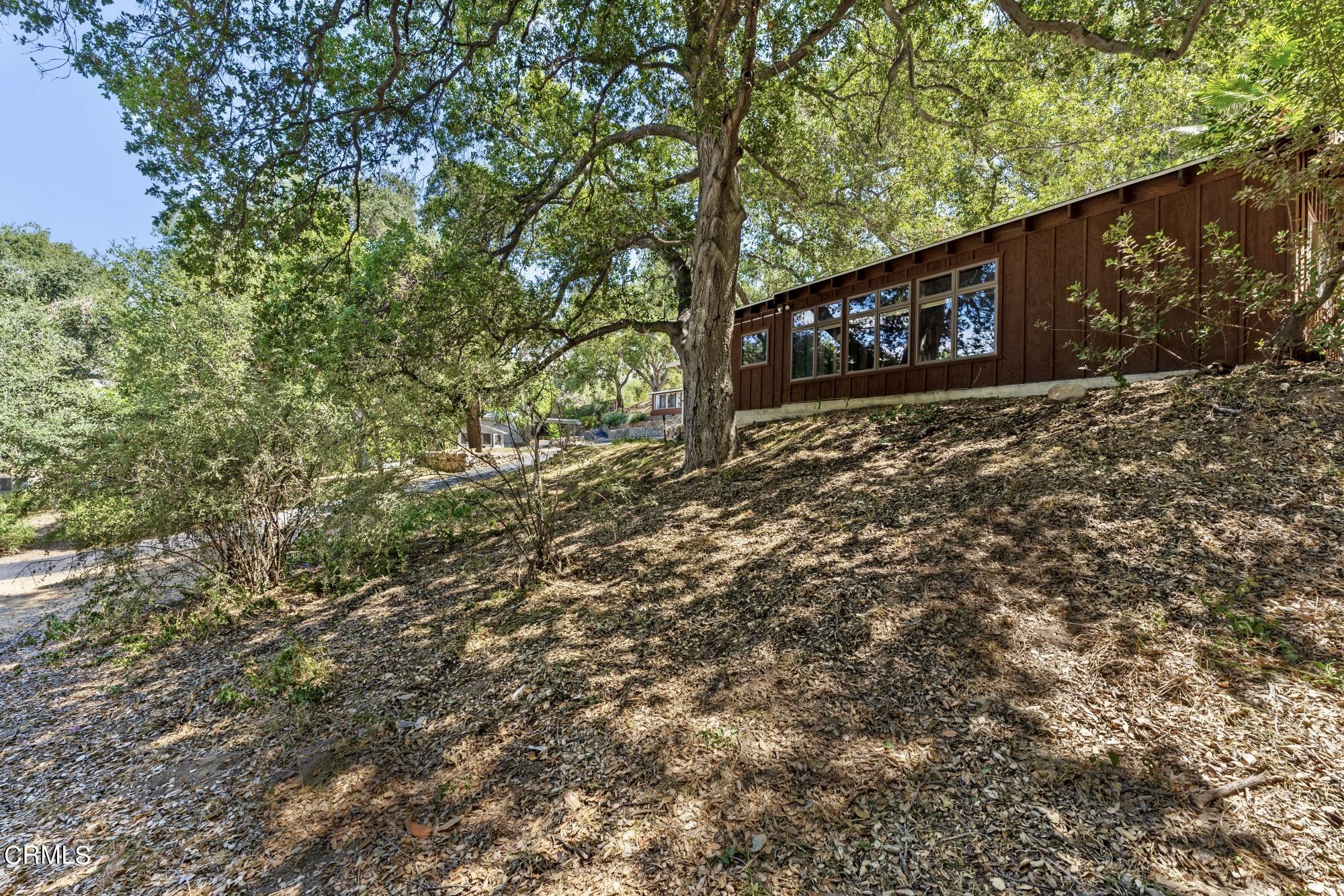 9710 Mistletoe Road Tujunga, CA 91042 - Photo 66 of 68 a view of a tree in a yard