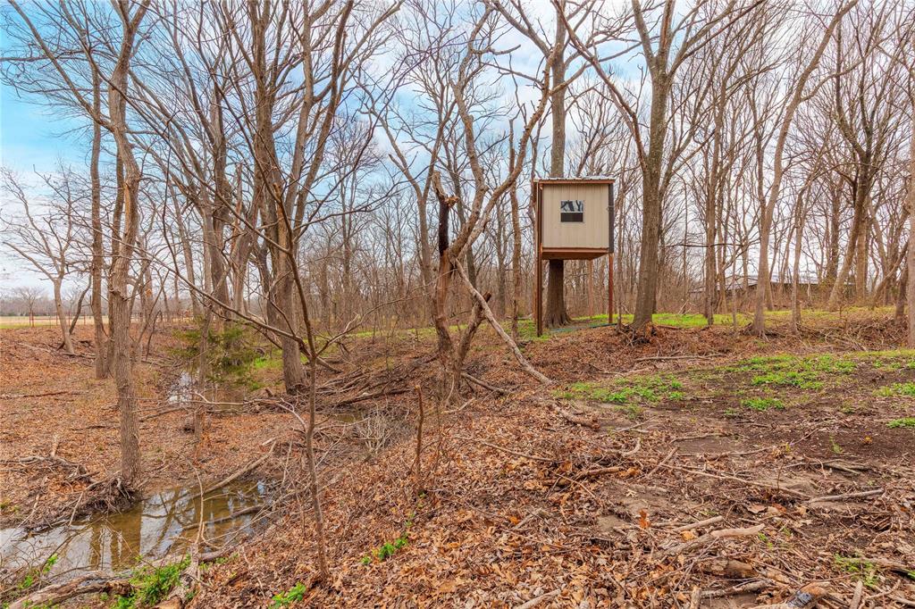 1878 North Lincoln Park Road Van Alstyne, TX 75495 - Photo 24 of 32 a house that has a tree in front of the house