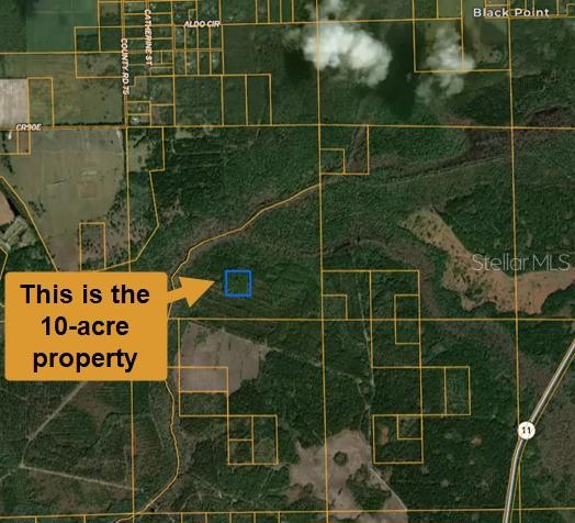 90 East County Road Bunnell, FL 32110 - Photo 3 of 5
