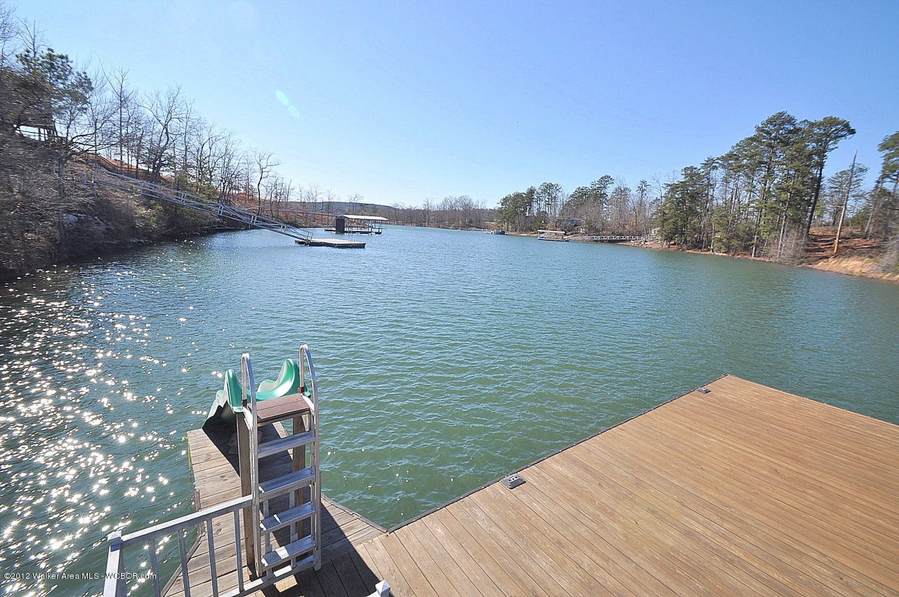 150 Rockshore Pt Drive Arley, AL 35541 - Photo 3 of 26 Gallery Image 3