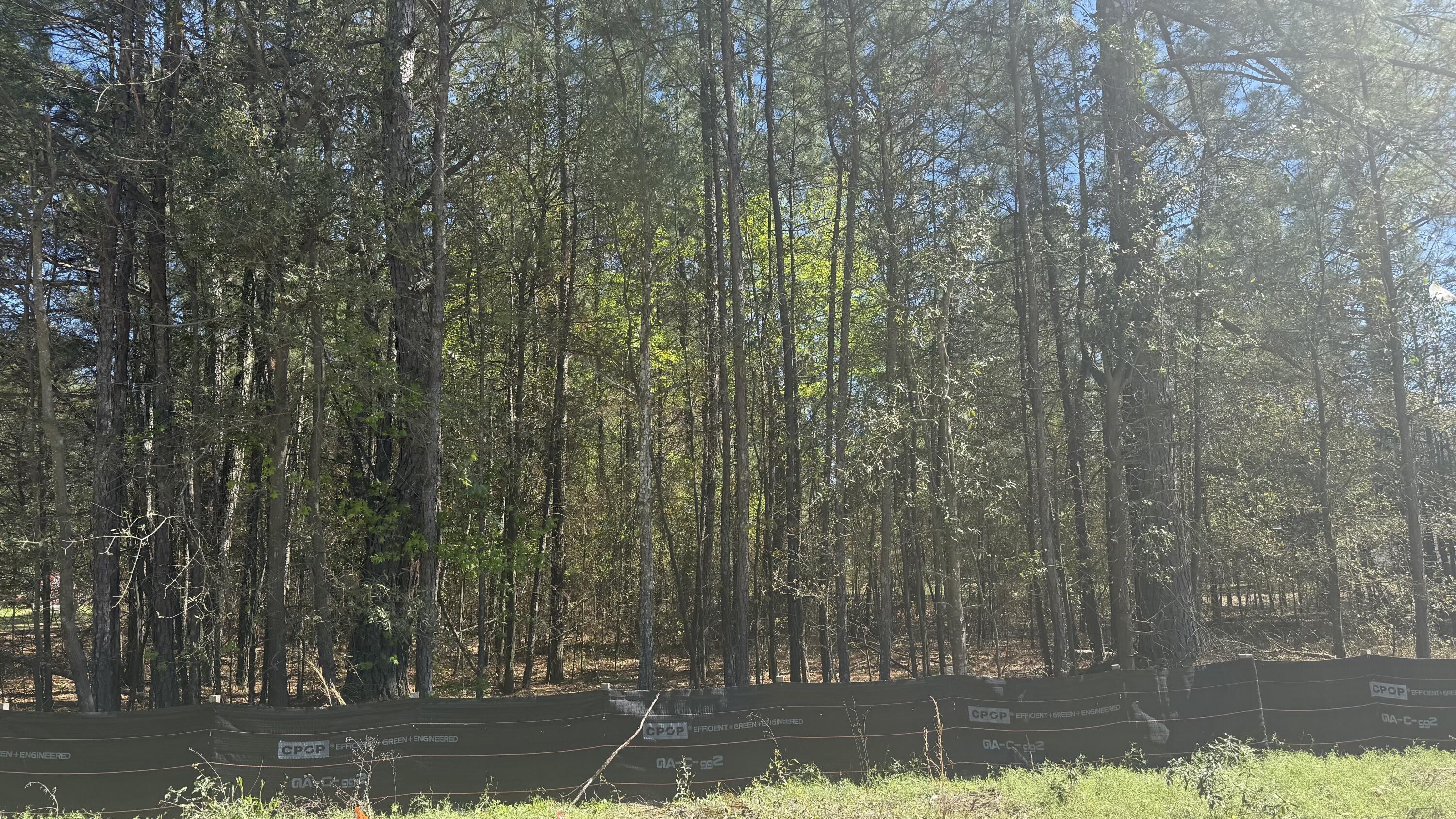 2241 McNutt Road Augusta, GA 30906 - Photo 2 of 3 mcnutt 2