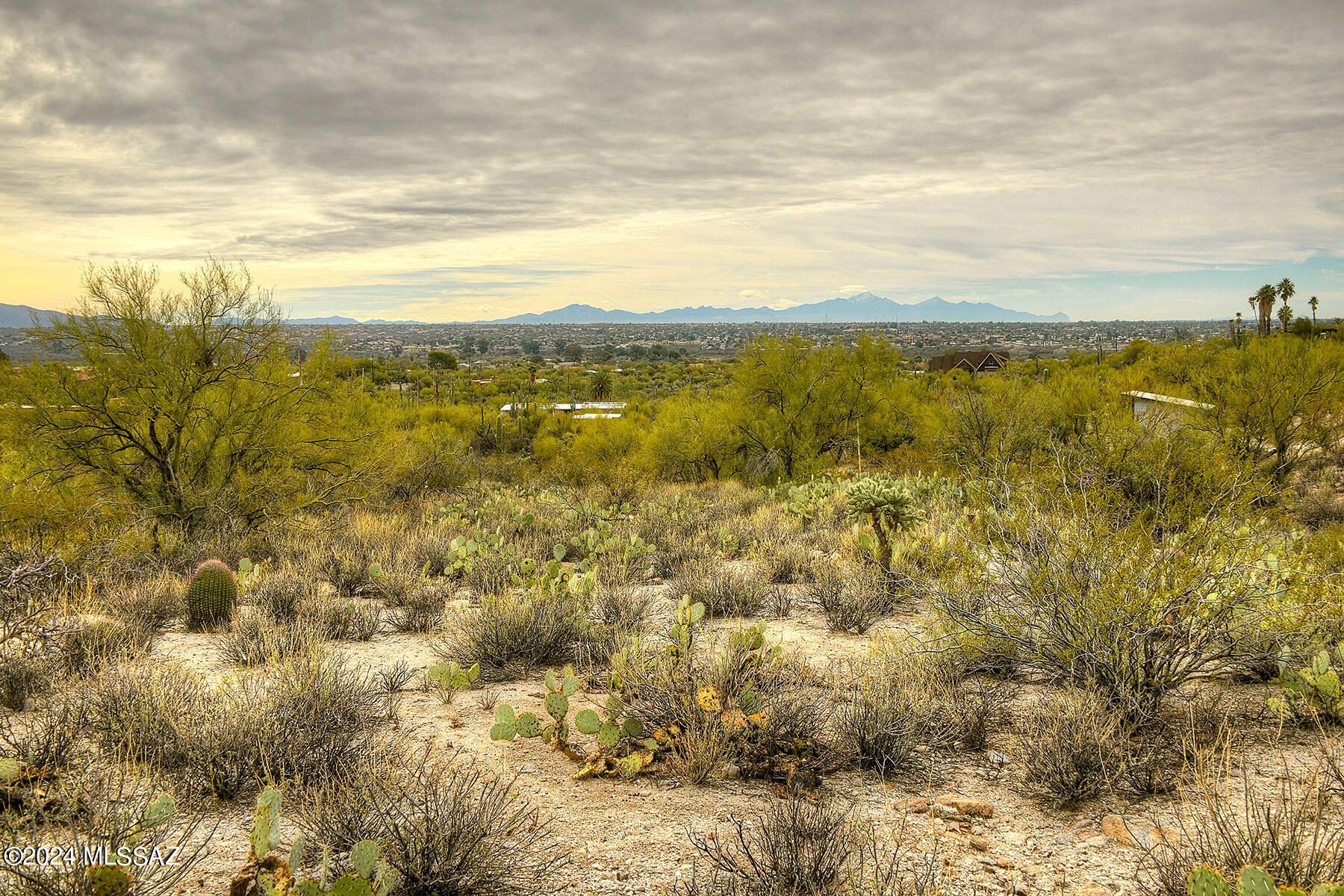 3010 North Deer Track Road Tucson, AZ 85749 - Photo 7 of 12 Gallery Image 7