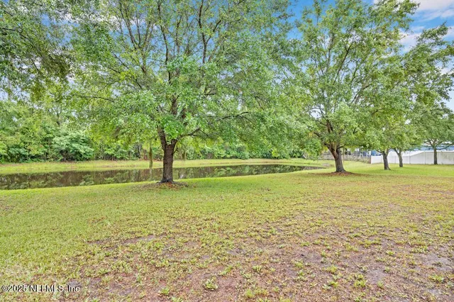 a view of a yard with a large trees