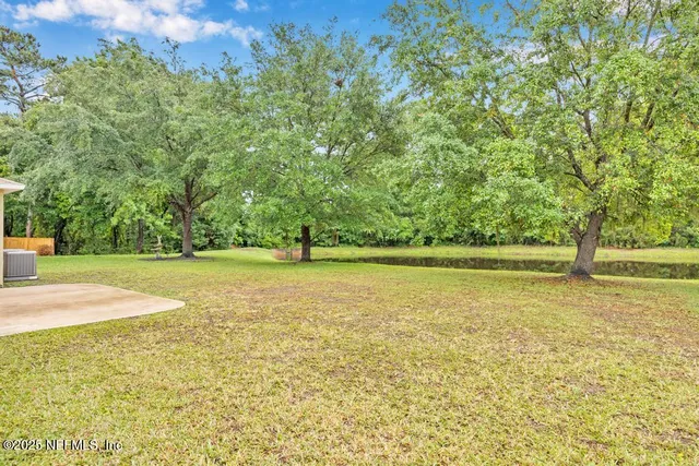 a view of a yard with trees