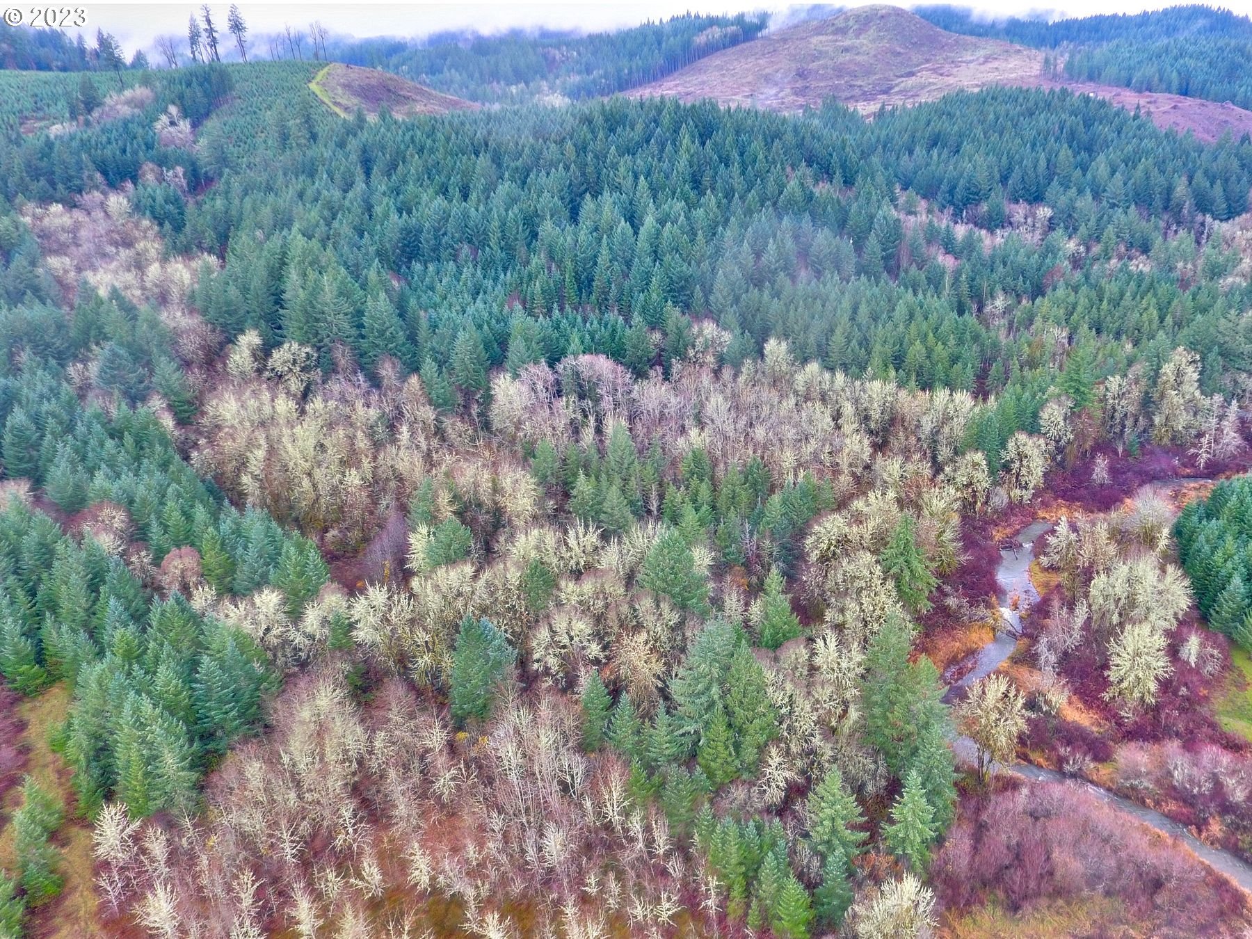 Southwest Gopher Valley Road Sheridan, OR 97378 - Photo 3 of 11 Gallery Image 3