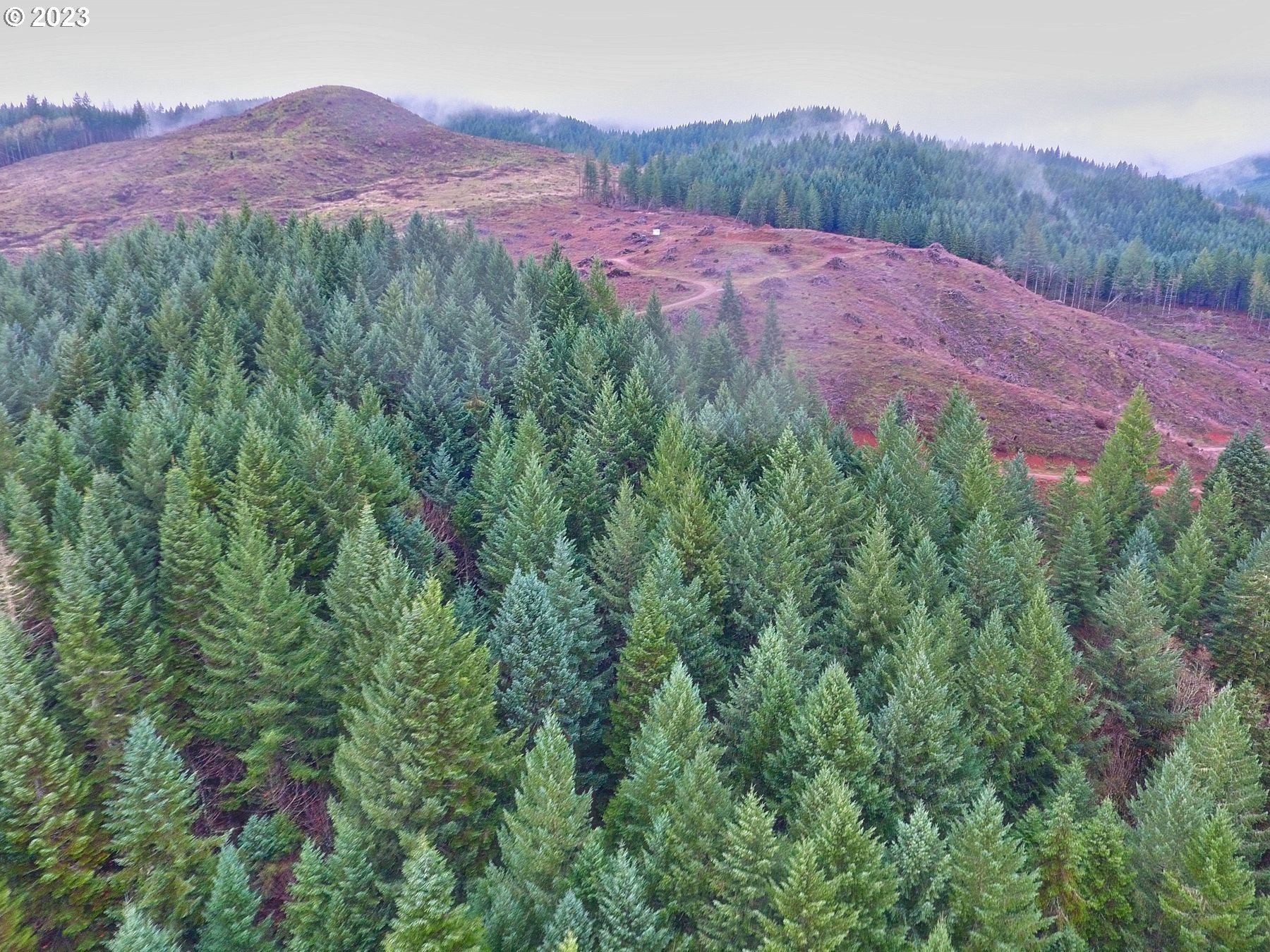 Southwest Gopher Valley Road Sheridan, OR 97378 - Photo 5 of 11 Gallery Image 5
