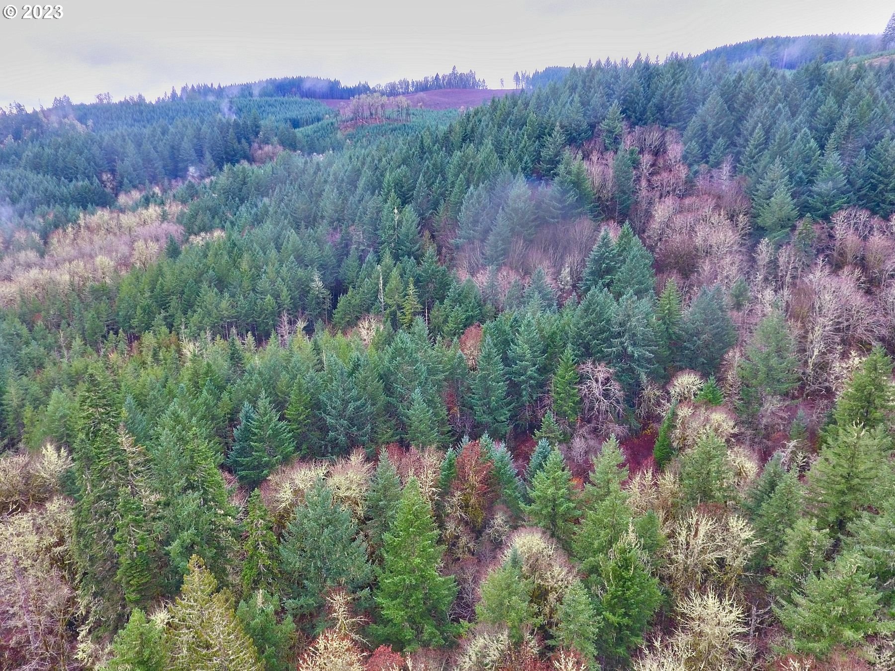 Southwest Gopher Valley Road Sheridan, OR 97378 - Photo 7 of 11 Gallery Image 7