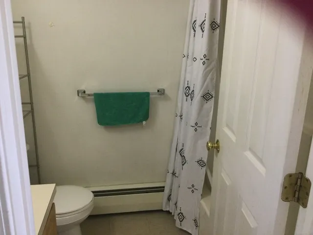 a bathroom with a shower and a toilet