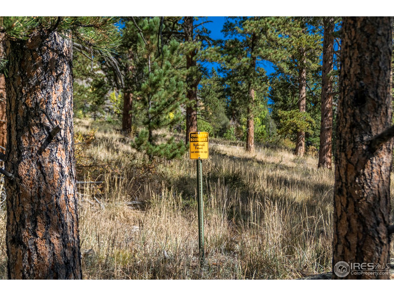 473 Taylor Road Allenspark, CO 80540 - Photo 18 of 22 Gallery Image 18