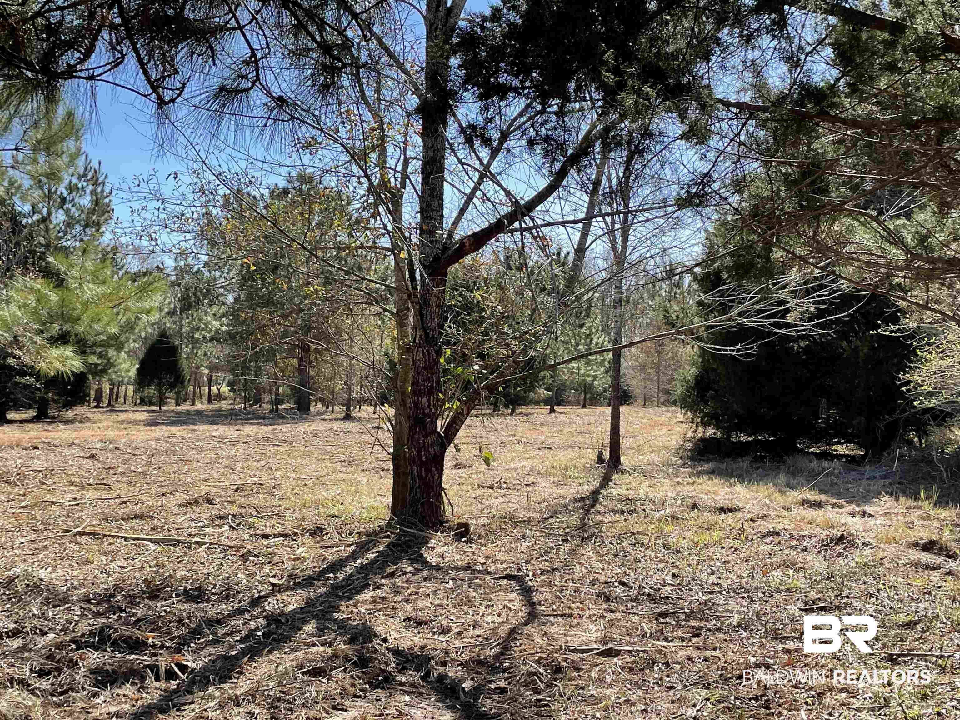 0 Makaira Drive Foley, AL 36535 - Photo 27 of 33