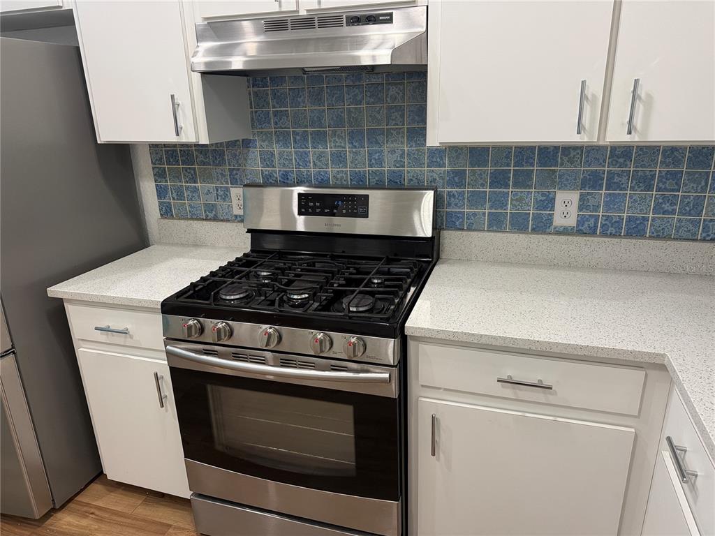 21542 Clubside Loop Lutz, FL 33549 - Photo 3 of 42 Gallery Image 3