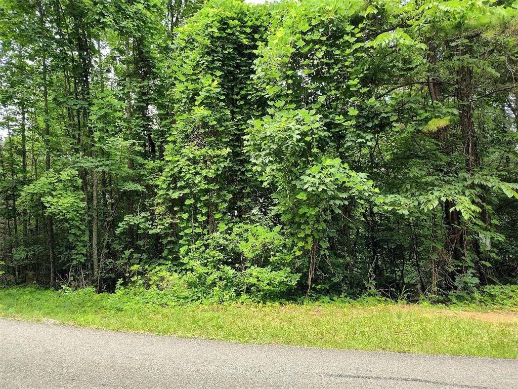 330 Adair Drive Ranger, GA 30734 - Photo 2 of 12