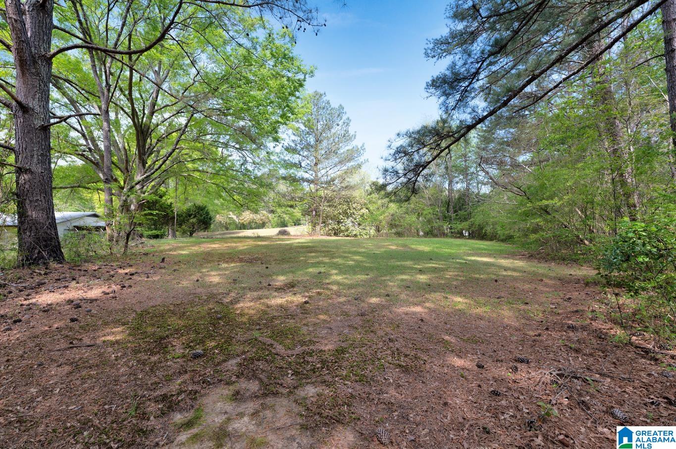 135 Hayden Springs Road Hayden, AL 35079 - Photo 24 of 37