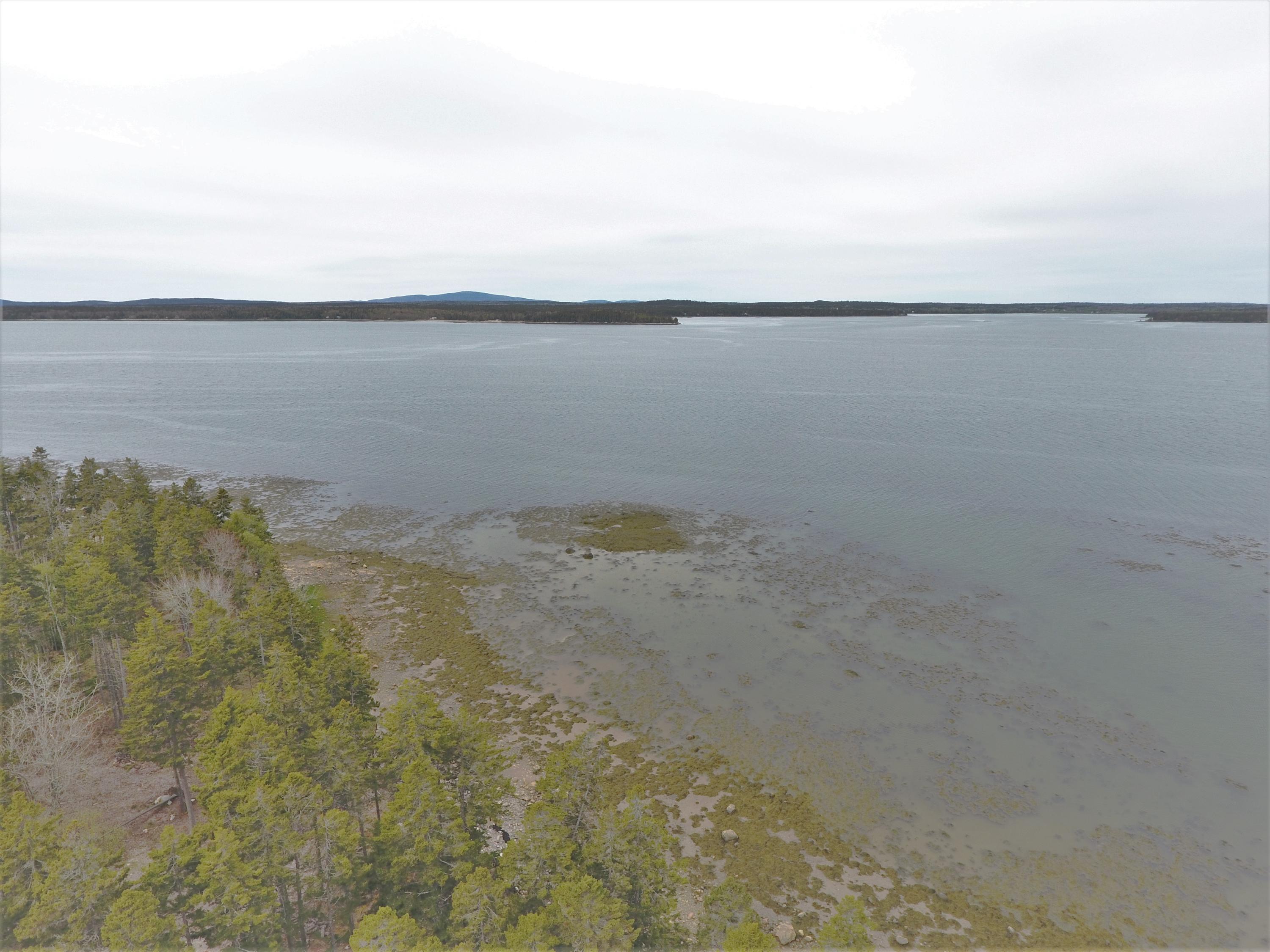 128 Estates Road Steuben, ME 04680 - Photo 16 of 35 DJI_0450 (2)