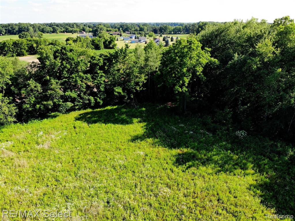 0 East Winegar Road Morrice, MI 48857 - Photo 1 of 37