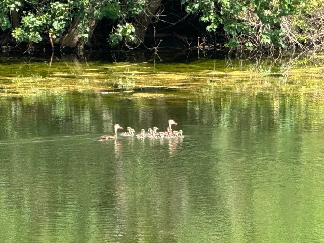 $2,995,000 | 4430 Fm 1457, Round Top, TX 78954