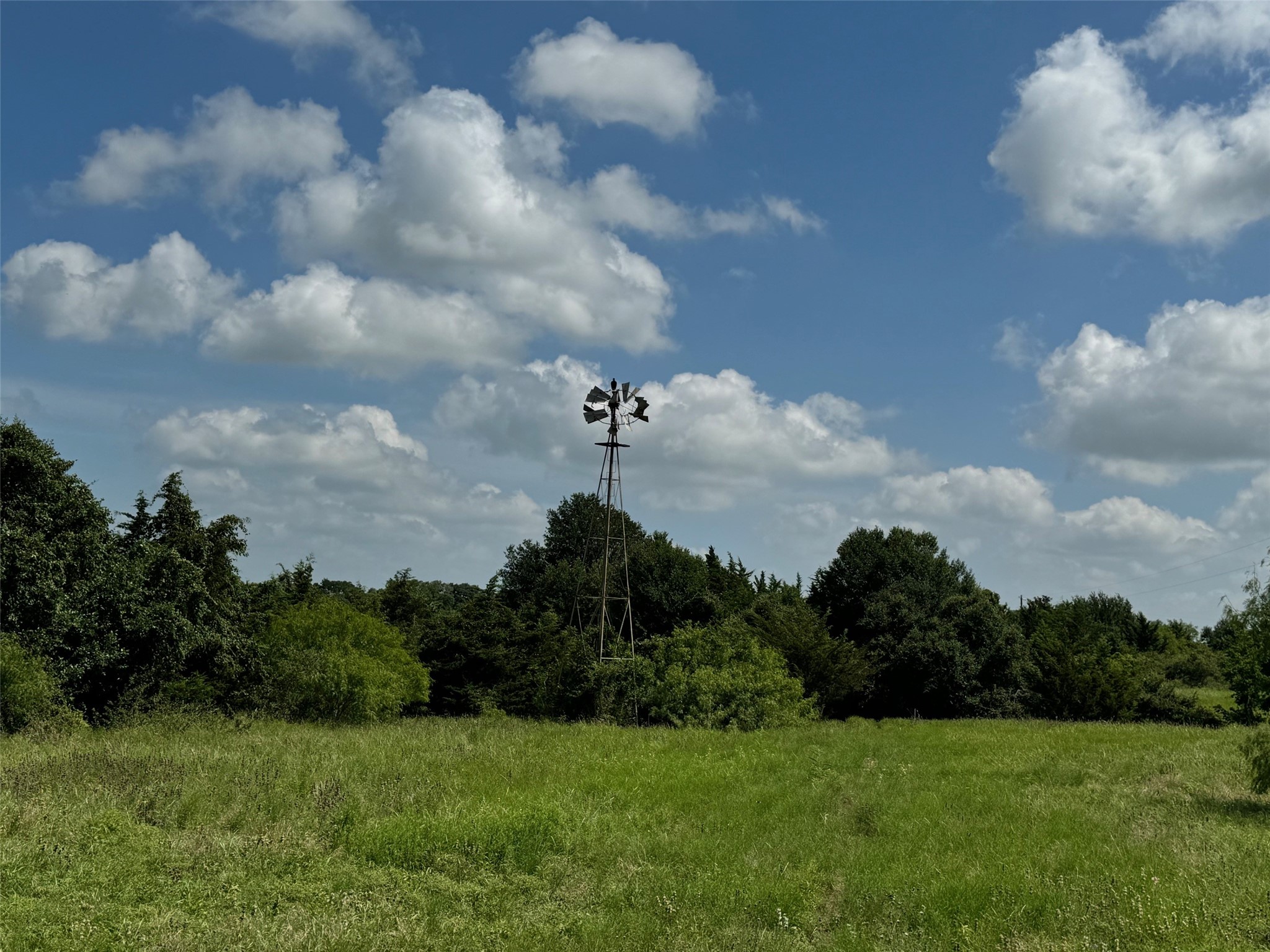 4430 Fm 1457 Round Top, TX 78954 - Photo 18 of 21 a view of a garden and basketball court