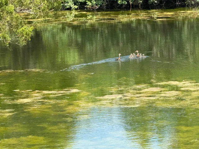 $2,995,000 | 4430 Fm 1457, Round Top, TX 78954