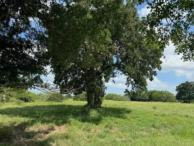 $2,995,000 | 4430 Fm 1457, Round Top, TX 78954