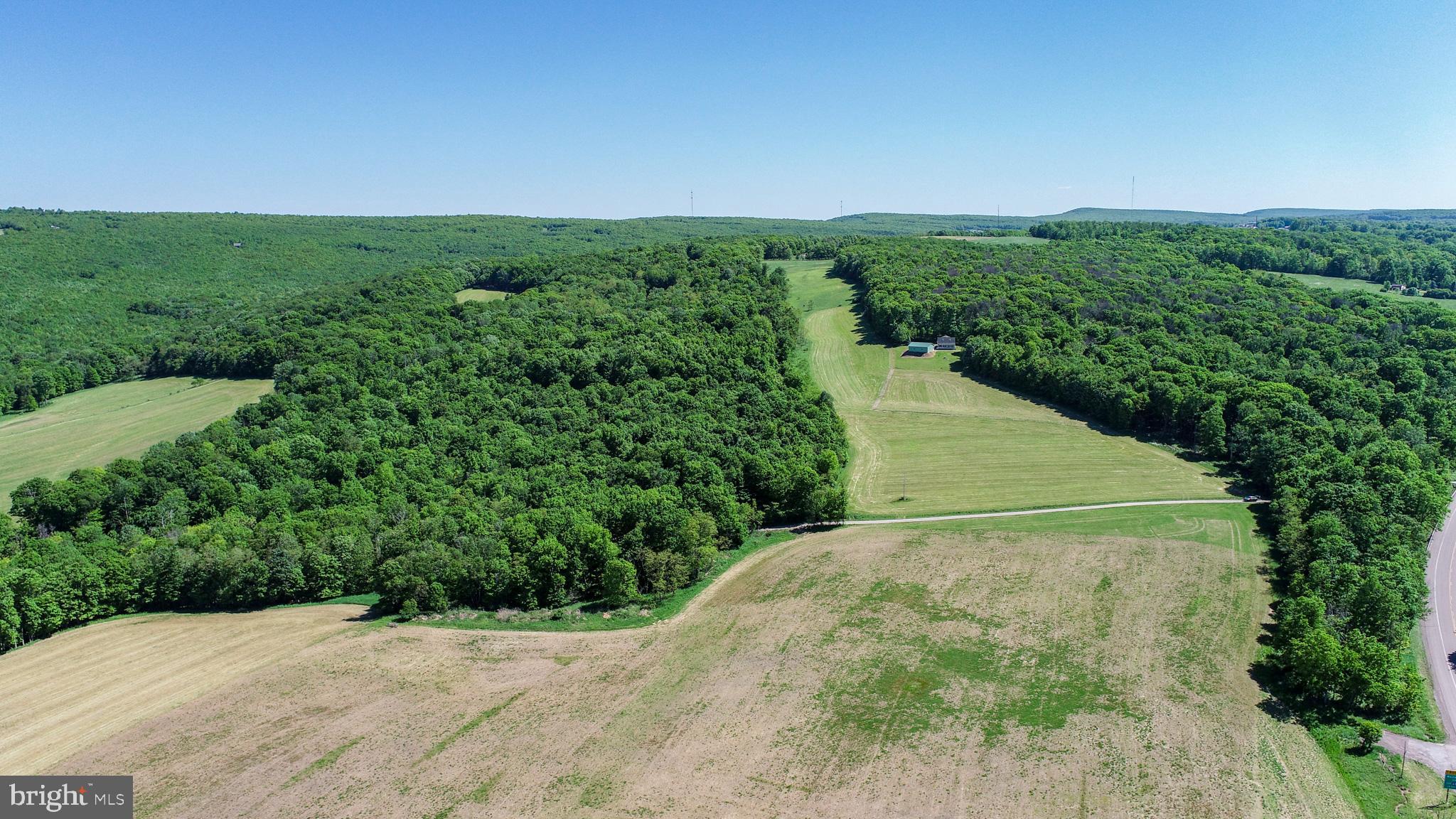 5-acres Chestnut Ridge Road Grantsville, MD 21536 - Photo 13 of 16