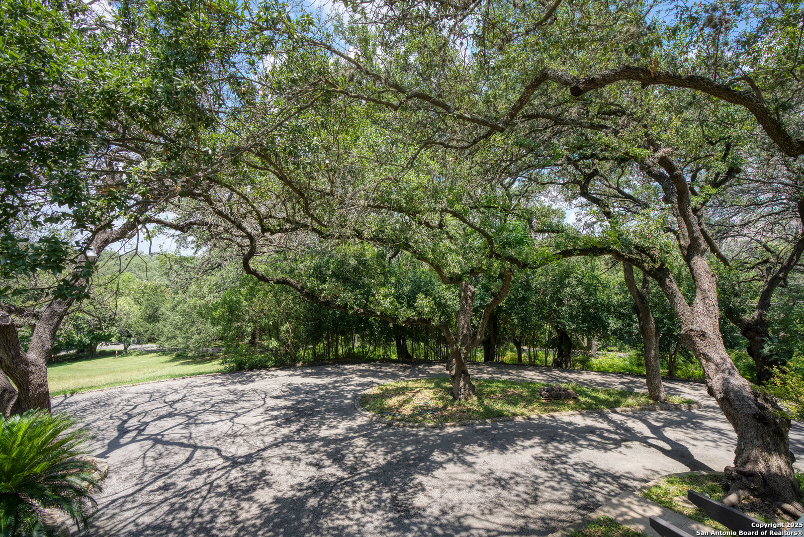 5351 Fredericksburg Road San Antonio, TX 78229 - Photo 31 of 50 a view of a park with large trees