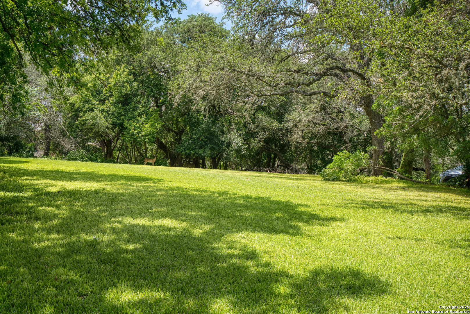 5351 Fredericksburg Road San Antonio, TX 78229 - Photo 36 of 50 a view of a grassy field with trees